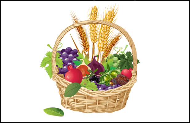 [Ki] Savo 5751: Hashem’s Will is Really&nbsp;Yours